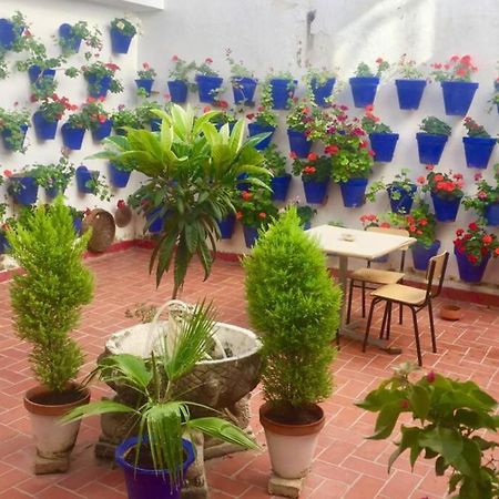 Apartamento Toril-Casco Historico Córdoba Exteriör bild